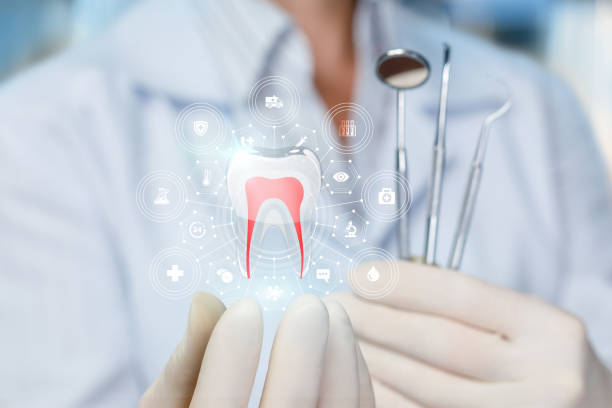 Best Pediatric Dentistry  in Sauk Vlage, IL