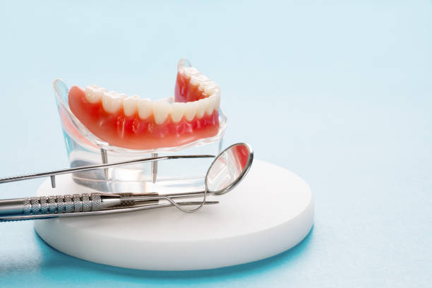 Best Traditional Braces  in Sauk Vlage, IL